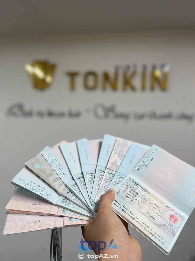 Visa Tonkin