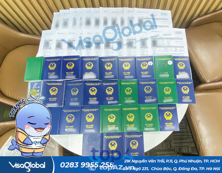 VISA Global
