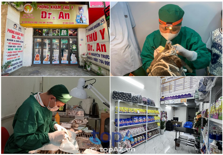Phòng khám Thú y Dr.An tại Hà Nội