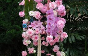 Shop hoa chúc mừng khai trương ở TPHCM