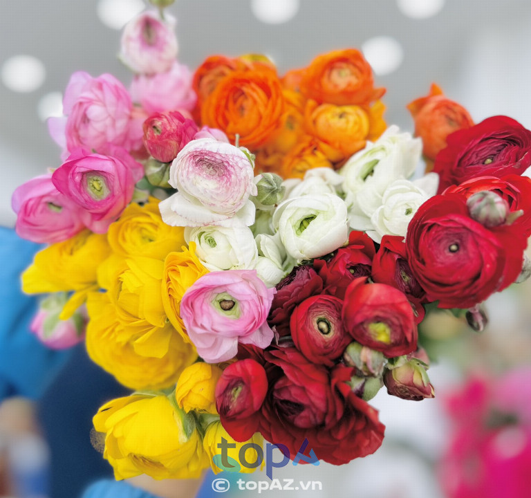 Chất lượng hoa tươi và mẫu mã đa dạng