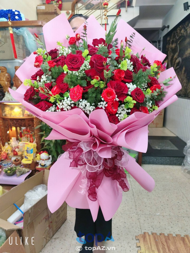 Hoa Tươi Điệp Điệp