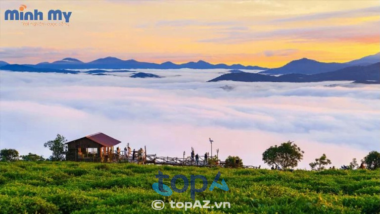 Kinh nghiệm du lịch Đà Lạt mùa đông - Ăn gì, chơi gì, ở đâu?