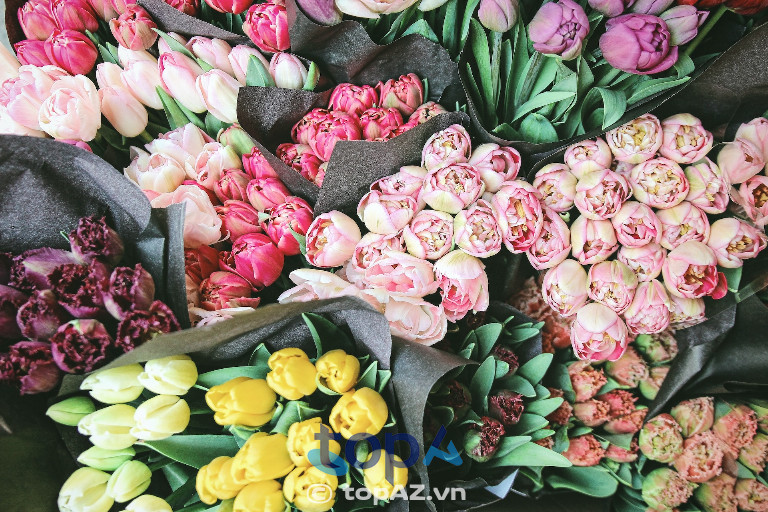 Hoa Tươi Quỳnh Anh - Thị trấn Định An