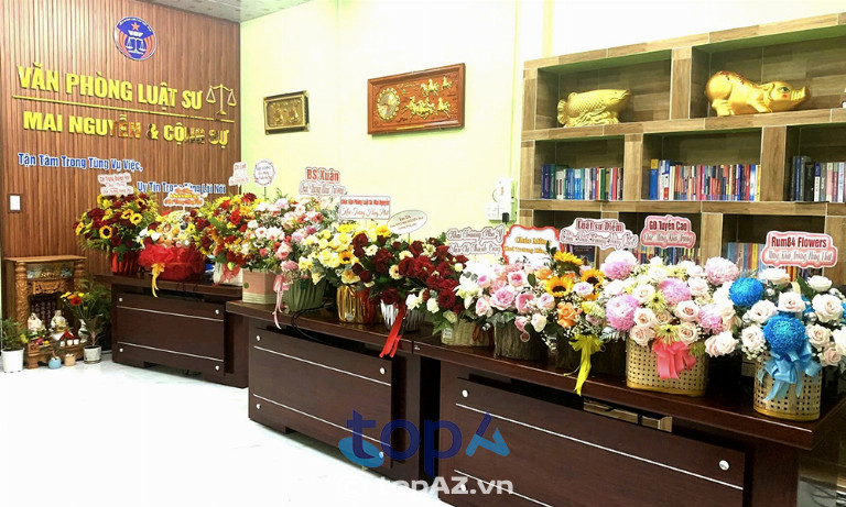 Văn phòng Luật sư Mai Nguyễn và Cộng sự - Ấp Tân Ngại