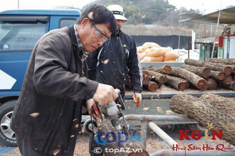 KGIN - Hệ thống cửa hàng hồng sâm Hàn Quốc