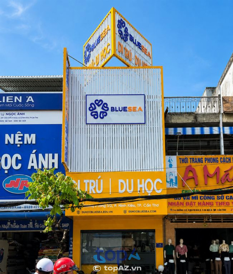 Công ty Tư vấn Du học & Định cư Bluesea - P. Cái Khế
