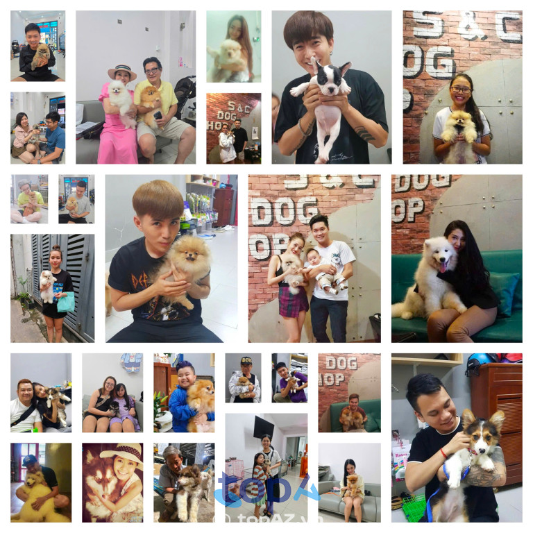 SC DOG SHOP tại TPHCM SC DOG SHOP tại TPHCM