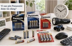 Pin Panasonic