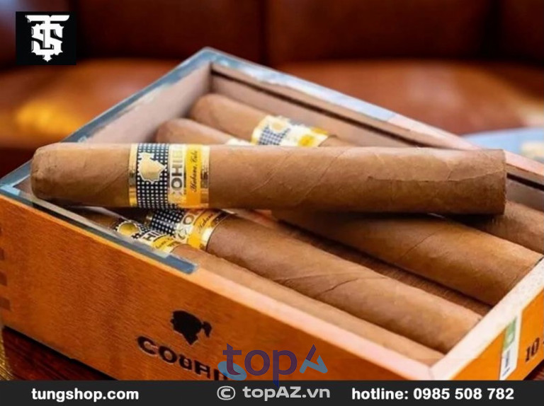 Tùng Shop bán xì gà Cohiba Siglo 6 10 điếu chuẩn Cuba