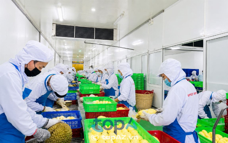 Công ty TM Xuất nhập khẩu Quốc Tế Minh Giang - P. Tân An