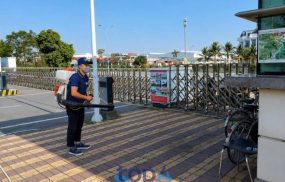 MB Pest Control diệt côn trùng hà nội